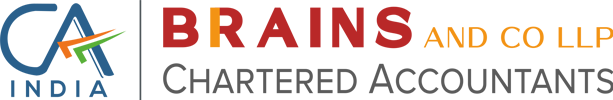 BRAINS AND CO LLP